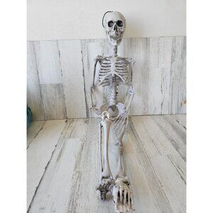 33" jointed hanging skeleton prop